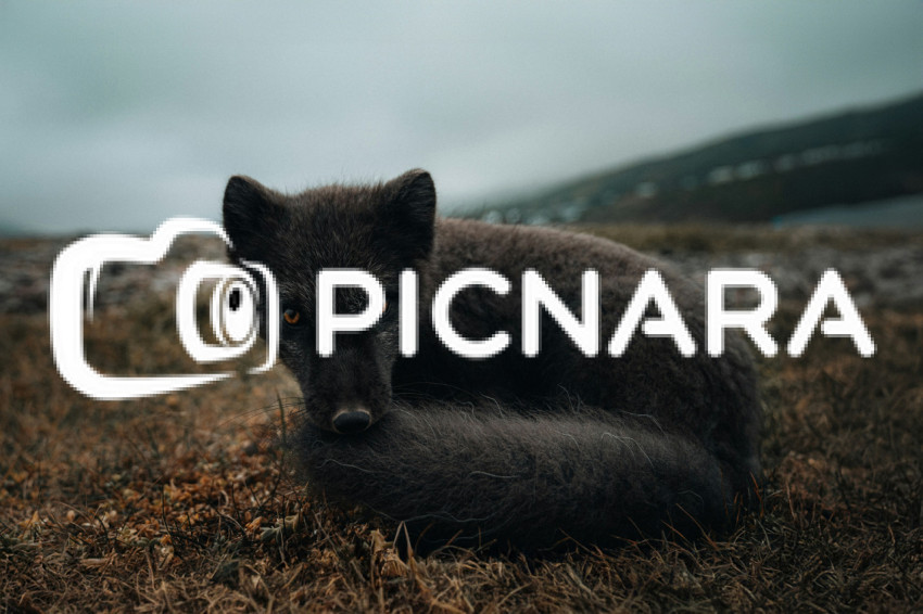 karsten winegeart MD6wA5Nqa k